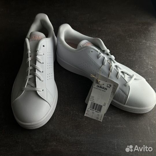 Adidas advantage base