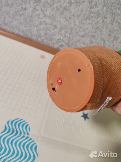 Танцующий кактус