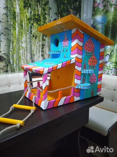 Кормушка для белок, бельчатники