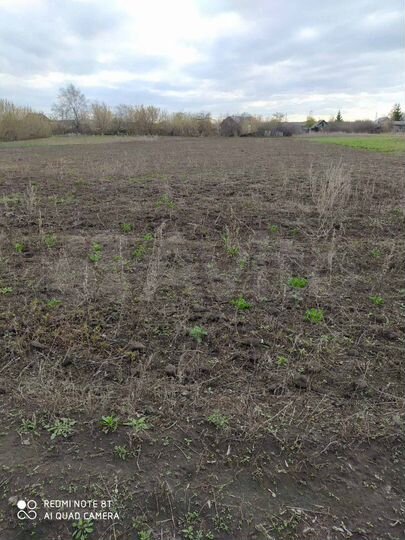 Участок 30 сот. (ИЖС)