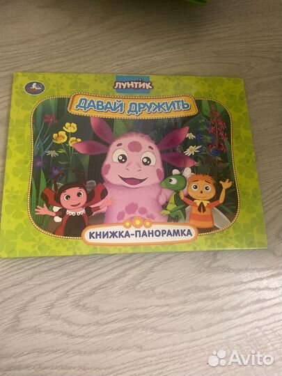 Книга панорамка 