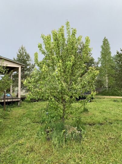 Дом 90,9 м² на участке 9,4 сот.