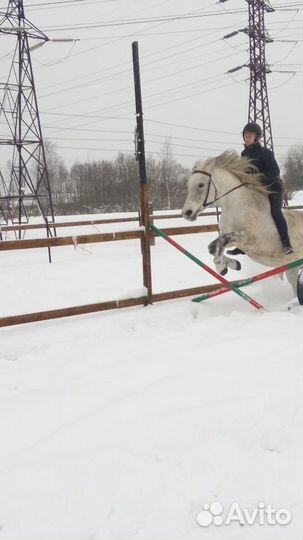 Курсы Кировск Ленинградская Область