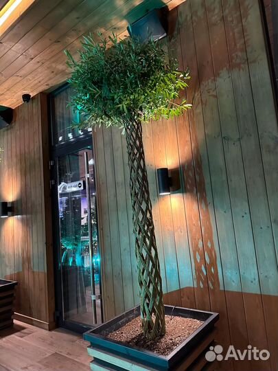 Плетеные деревья из ивы