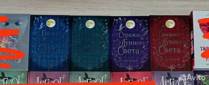 Стражи серебряного мира