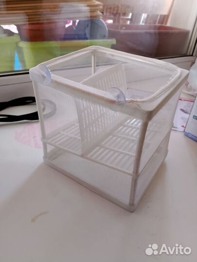 Нерестовик