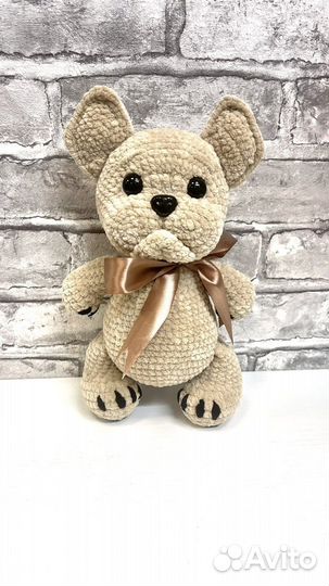 Французский бульдог (вязаный бульдог)