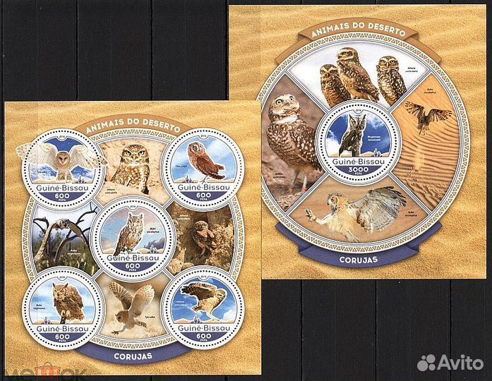 Хищные птицы Совы