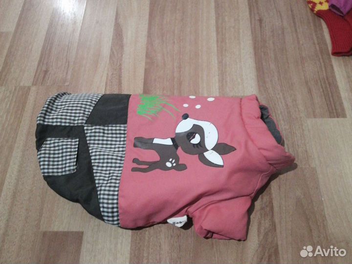 Куртка для маленьких собак