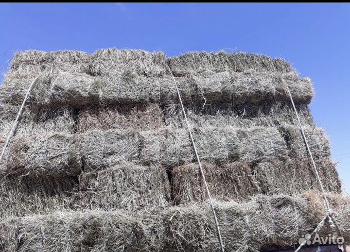 Сено в тюках