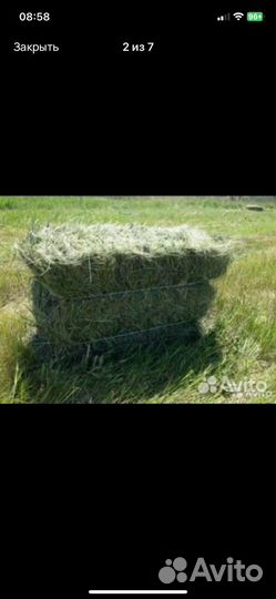 Сено тюки рулоны