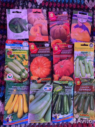 Рассада овощей