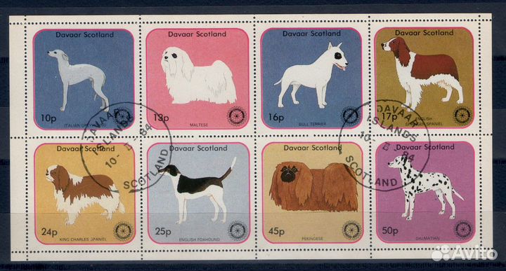 Марки Шотландии, Птицы, Утки, Животные 7 Листов