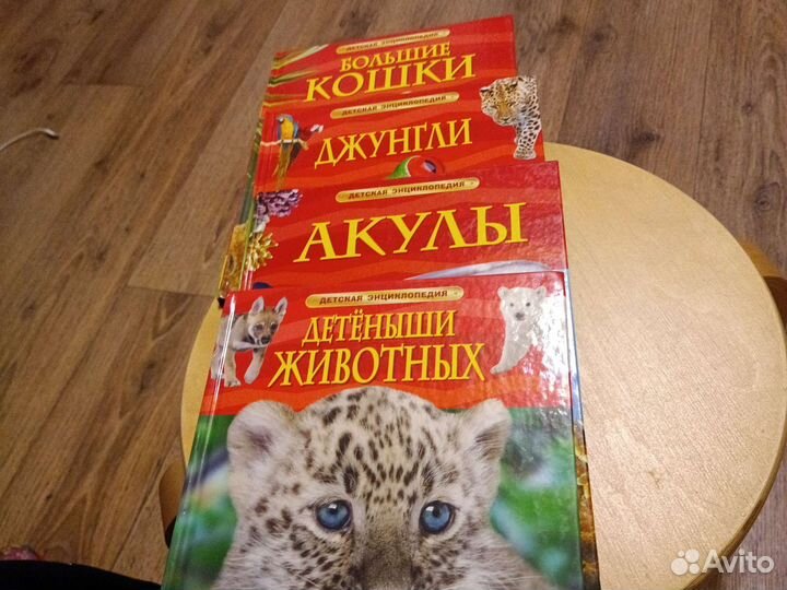 Детская энциклопедия про животных для детей 3+