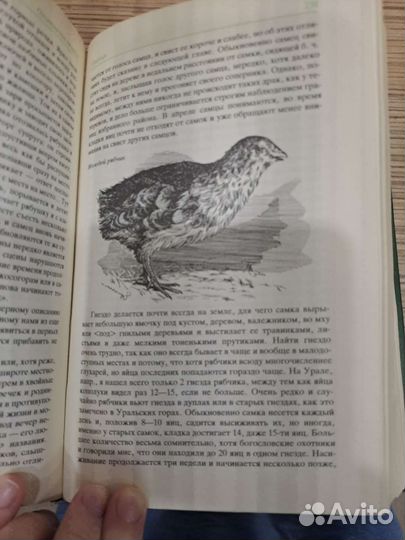 Книга про охоту