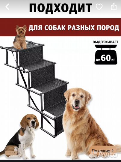 Лестница для собак