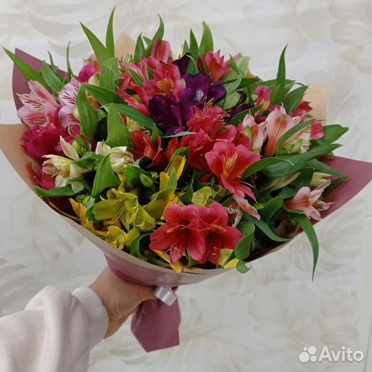 Альстрамерия