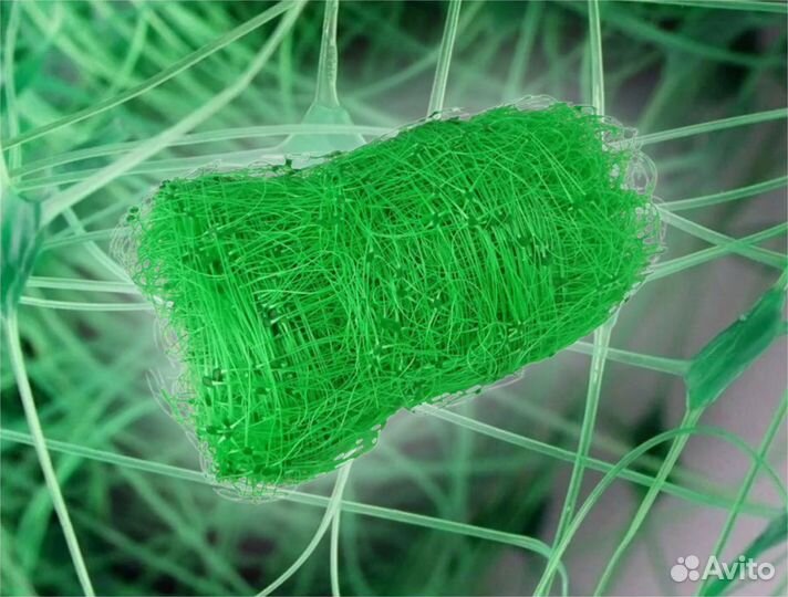 Сетка для огурцов/гороха шпалерная оптом
