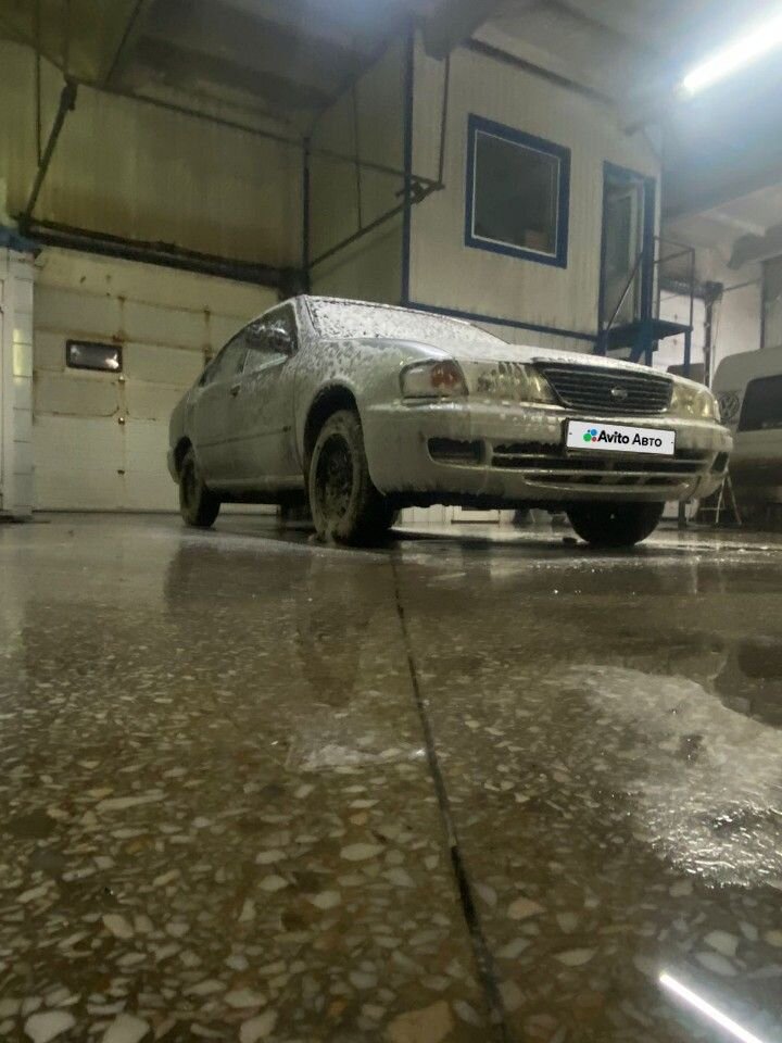 Nissan Sunny: фото владельца