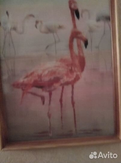 Картина алмазная готовая