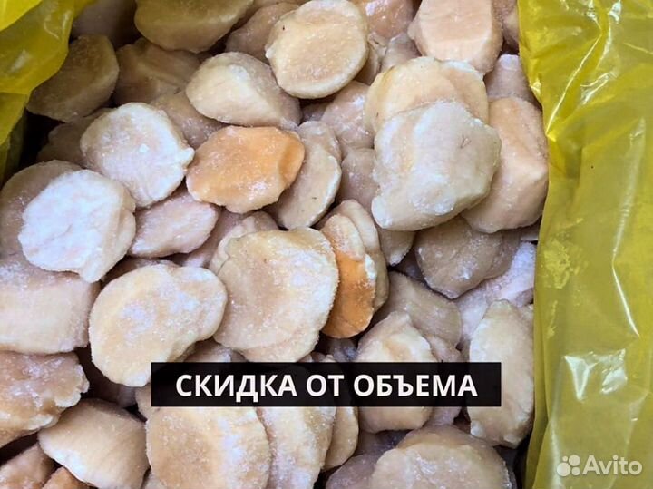 Морской гребешок