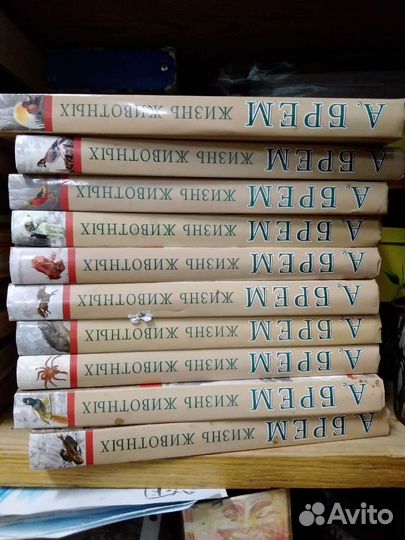 Для пановой