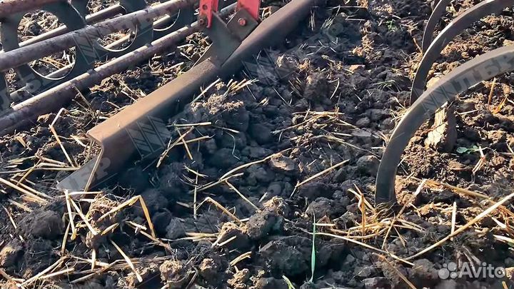 Культиватор Белинсксельмаш Полярис, 2023