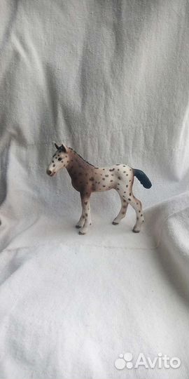 Жеребята Schleigh