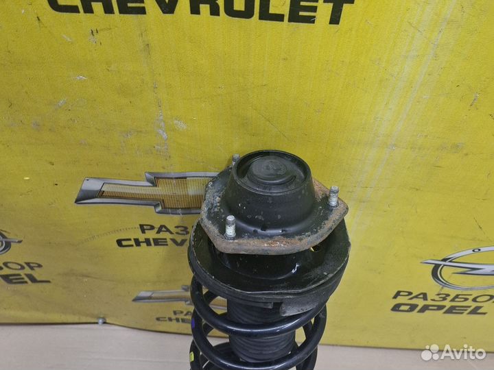 Амортизатор задний правый Chevrolet Lacetti
