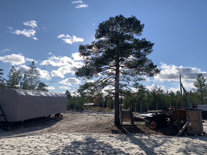 Участок 10,2 сот. (СНТ, ДНП)