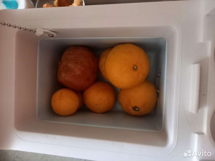 AEG BK 6 12v/230 автомобильный холодильник