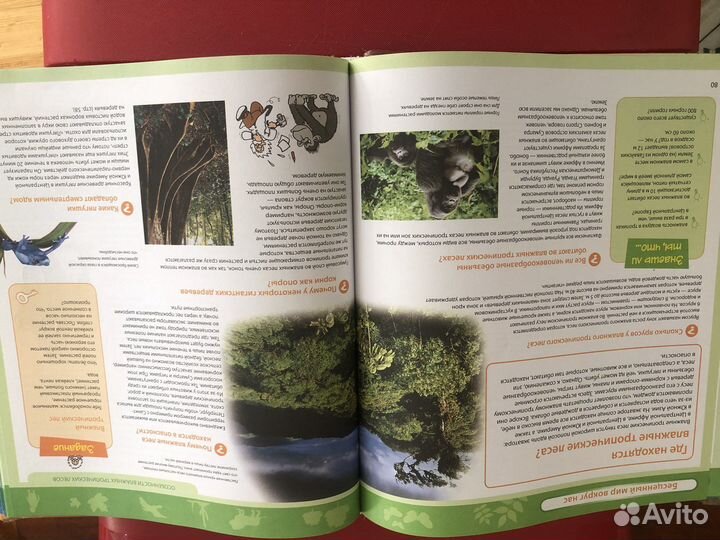 Большая энциклопедия знаний