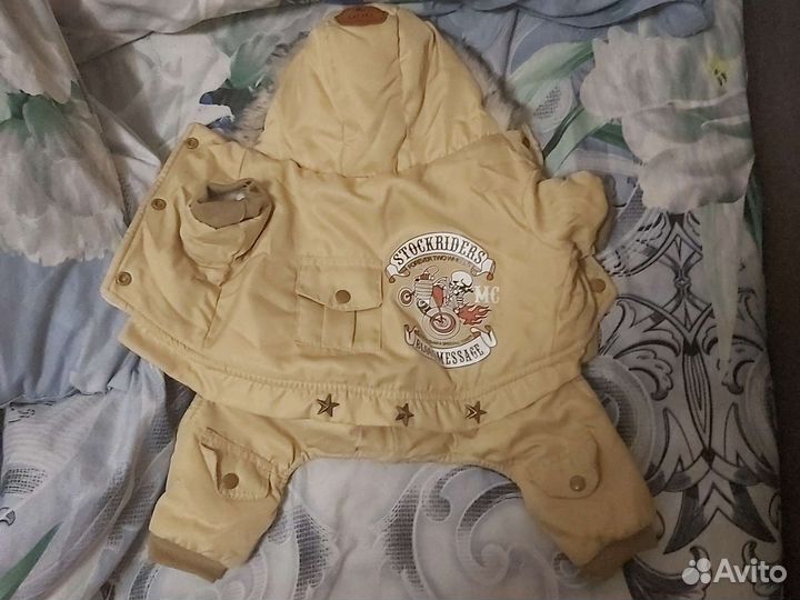 Одежда для собак