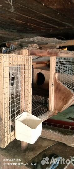 Клетки для разведения и содержания кроликов