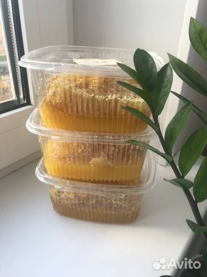 Мед оптом, мед, мед с сотах, забрус