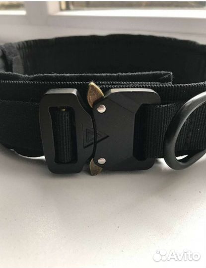 Ошейник на заказ