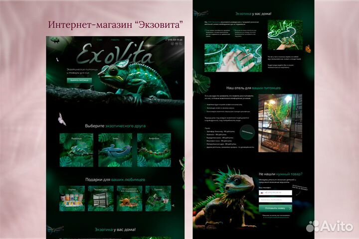 Создание и продвижение сайтов в Нижнем Новгороде