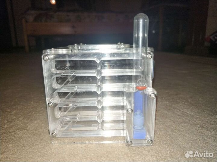 Муравьиная ферма без муравьев