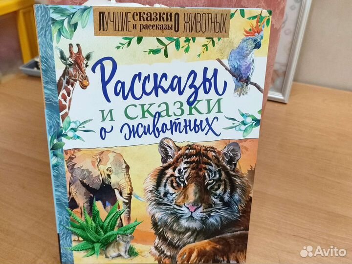 Детские интересные книги новые