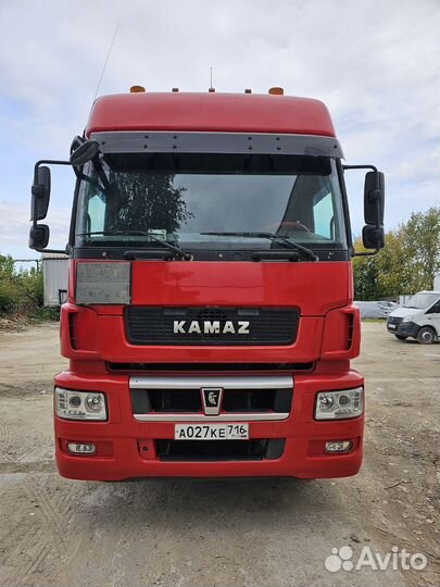 КамАЗ 5490 NEO, 2017