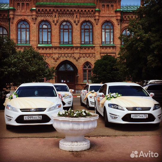 Авто, кортеж для Свадебных торжеств