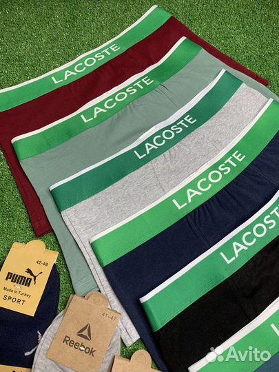 Трусы мужские боксеры lacoste