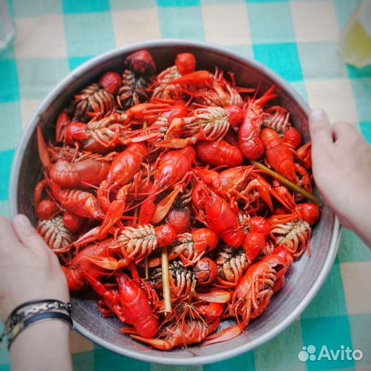Раки живые