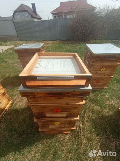 Ульи Дадан 12 рамочный