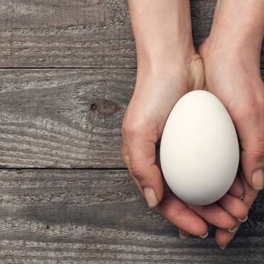 Гусиное яйцо на инкубатор