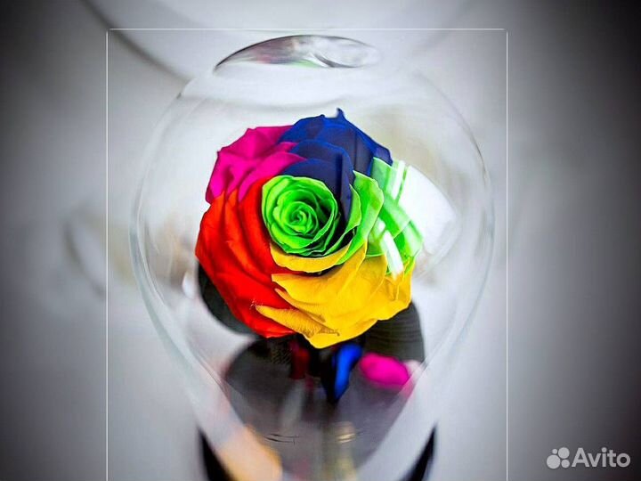 Роза в колбе Deluxe Радужная