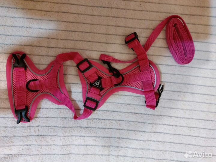 Одежда для собак