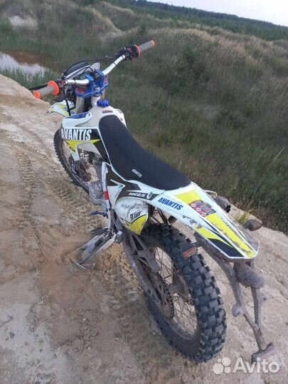 Avantis FX 250
