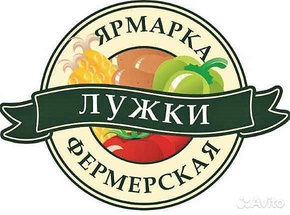 Приглашаю соинвестора/партнера/долевое участие