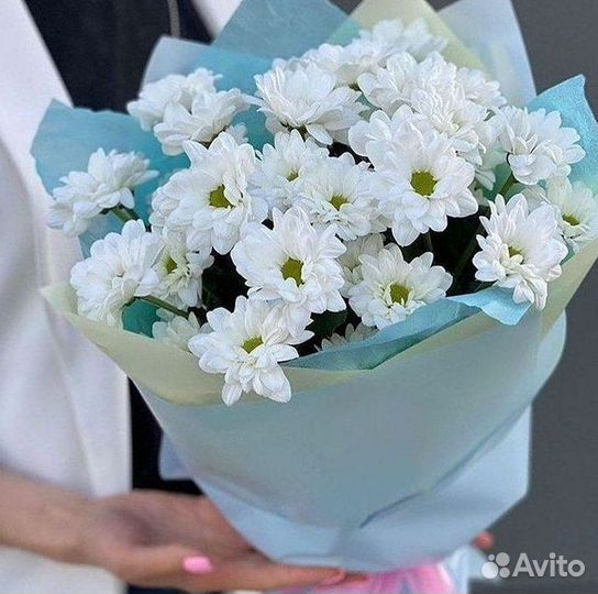 Хризантема Букет хризантем Доставка